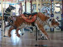 Carousel Works Outside Row Jumper